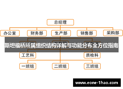 斯坦福桥所属组织结构详解与功能分布全方位指南